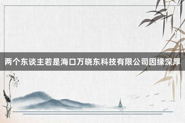 两个东谈主若是海口万晓东科技有限公司因缘深厚