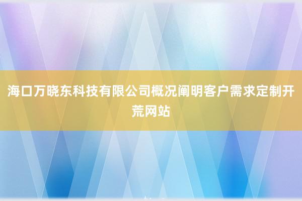 海口万晓东科技有限公司概况阐明客户需求定制开荒网站